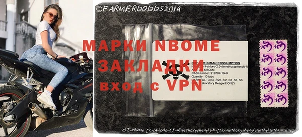 хмурый Алексин