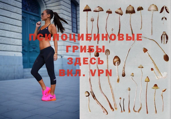 ПСИЛОЦИБИНОВЫЕ ГРИБЫ Алексеевка