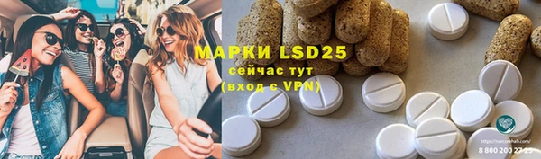 хмурый Алексин