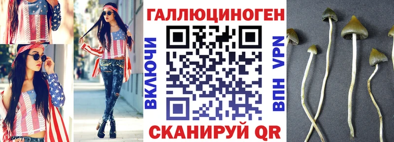 хочу наркоту блэк спрут зеркало Галлюциногенные грибы Psilocybine cubensis Дыгулыбгей