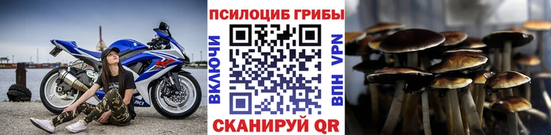 Галлюциногенные грибы Psilocybine cubensis Дыгулыбгей